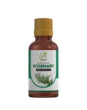 Zain Herbal Rosemary Essential Oil: Harness the Power of Pure and Organic Rosemary