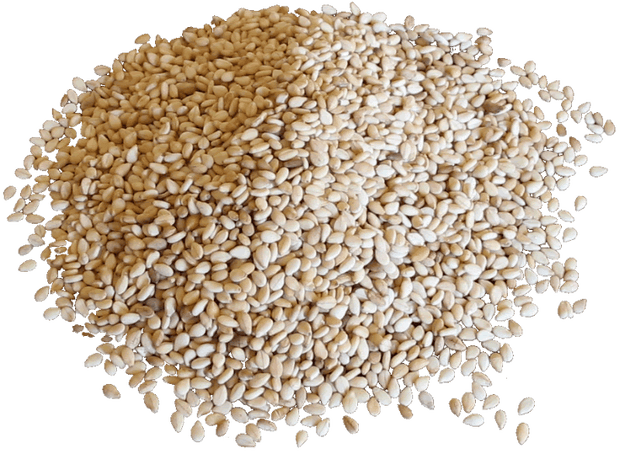 White Sesame Powder  سفید تل: Tiny Seeds, Mighty Benefits