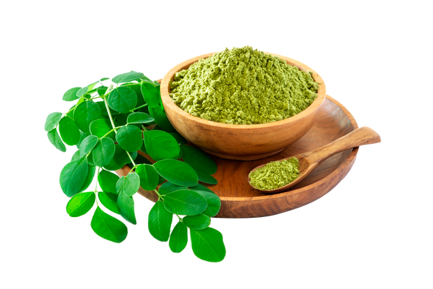 Superfood Power with Zain Herbals Organic Moringa Powder